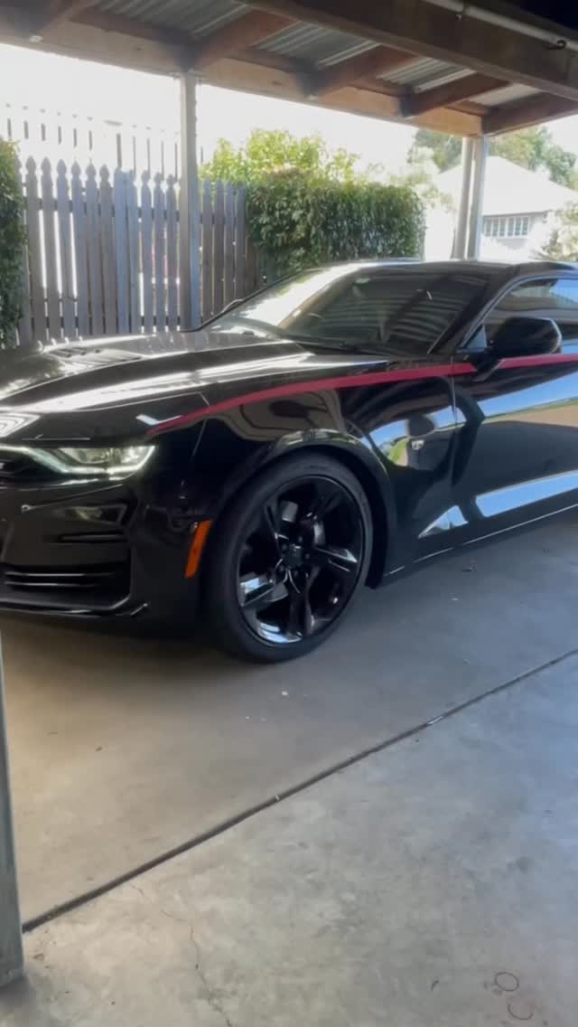 Paint correction and polish work on a white vehicle showing swirl-free finish