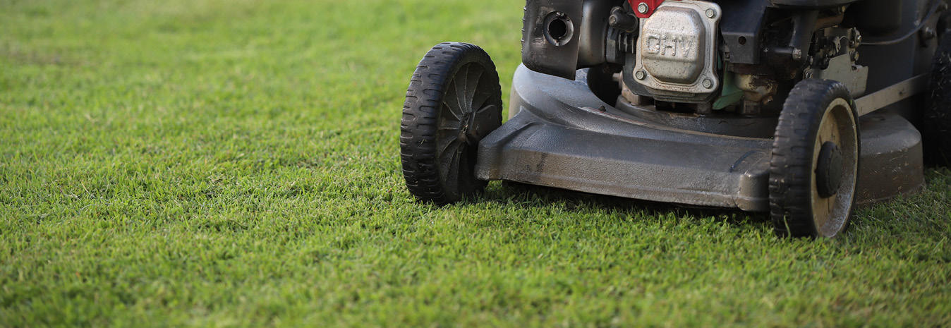 Professional lawn mowing service in Rockhampton showing freshly cut grass with clean edges